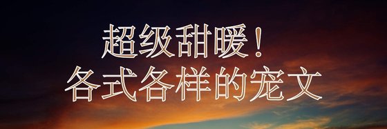 超級甜暖！各式各樣的寵文